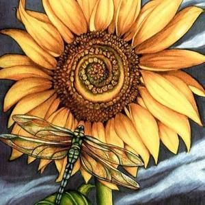 Meet your Posher, Susan